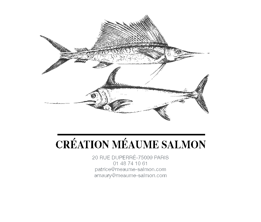Logo Méaume-Salmon